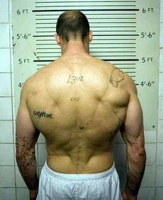 杰森斯坦森图片肌肉,硬汉风采的健身秘诀揭秘