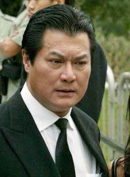 姜大卫个人资料,影视界璀璨星辰，传奇人生掠影